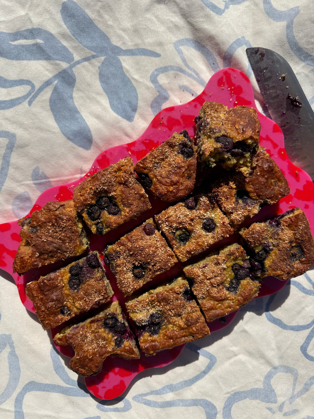 Blueberry Oat Slice