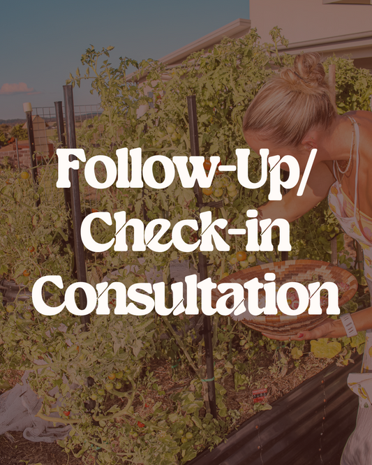 Follow-Up/Check-in Consultation