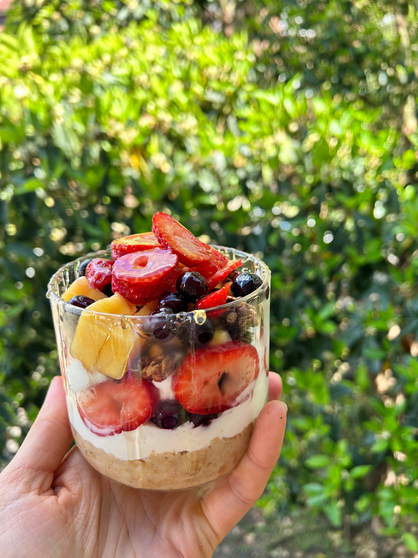 Festive Edition: Digital or Physical eBook