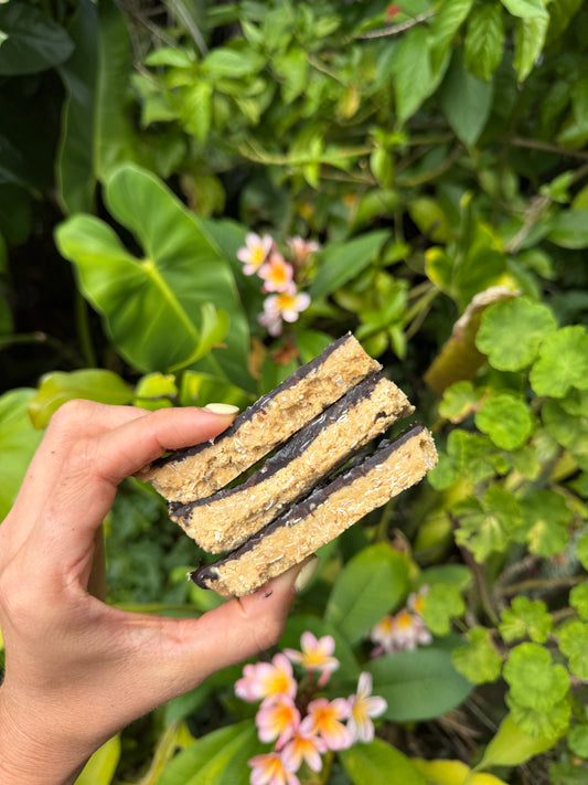 PRETZEL OAT PROTEIN BARS