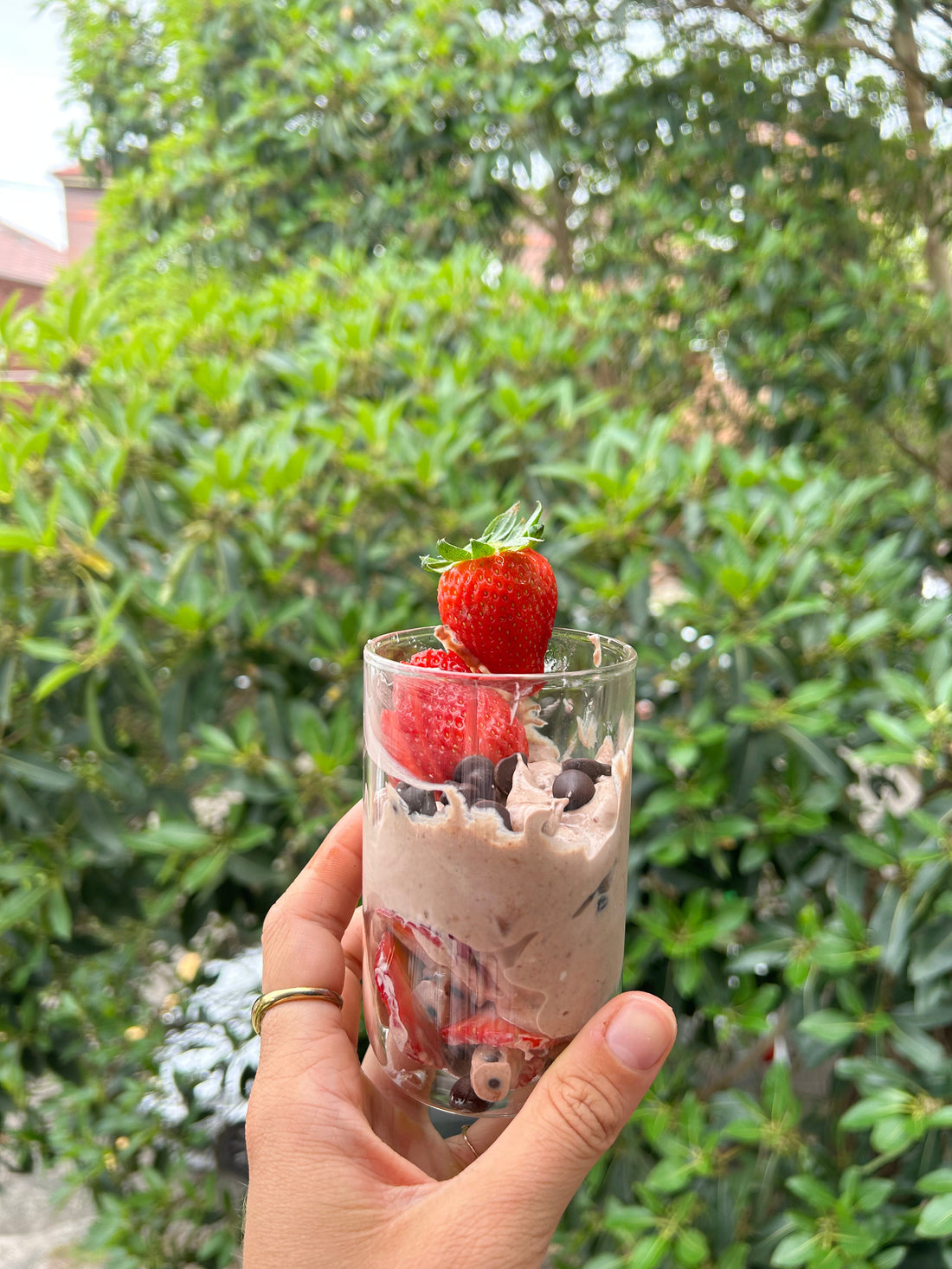CHOCOLATE PROTEIN MOUSSE