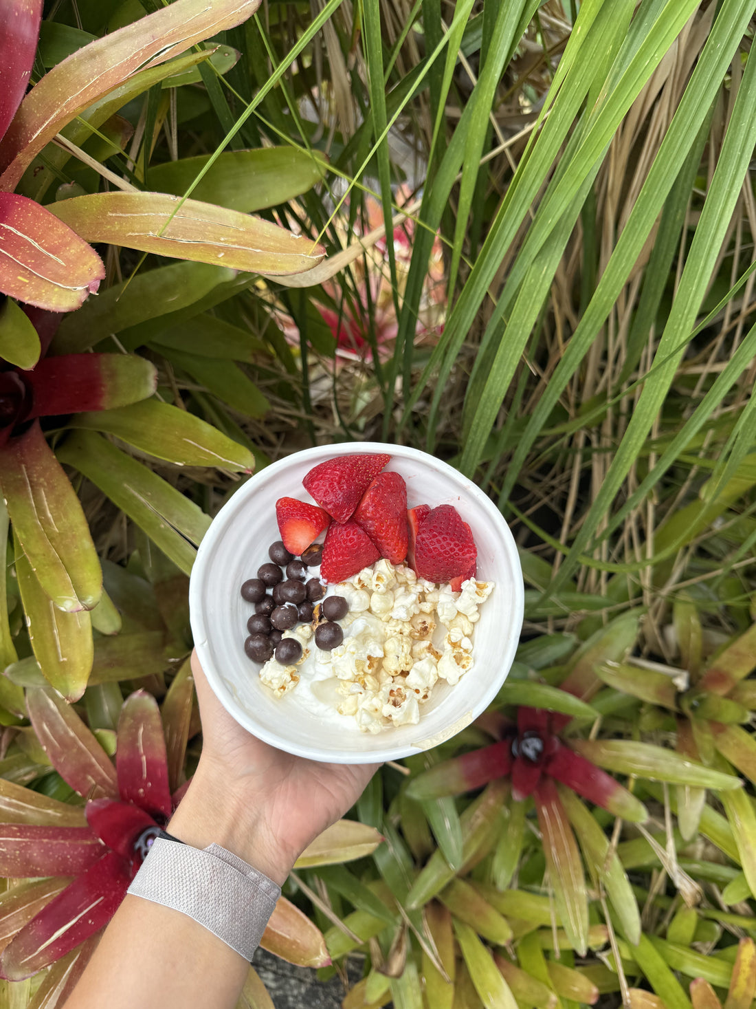 CRUNCHY YOGURT BOWL