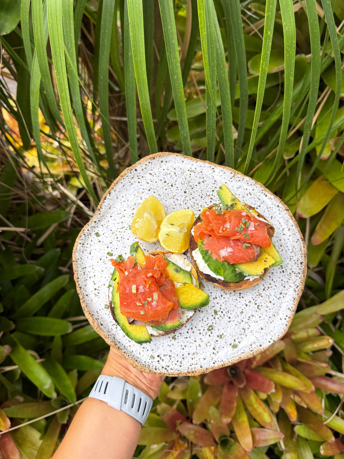 SMOKED SALMON BAGEL (POST TRAINING)
