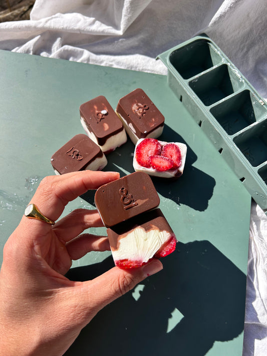 YOGURT FREEZER BITES