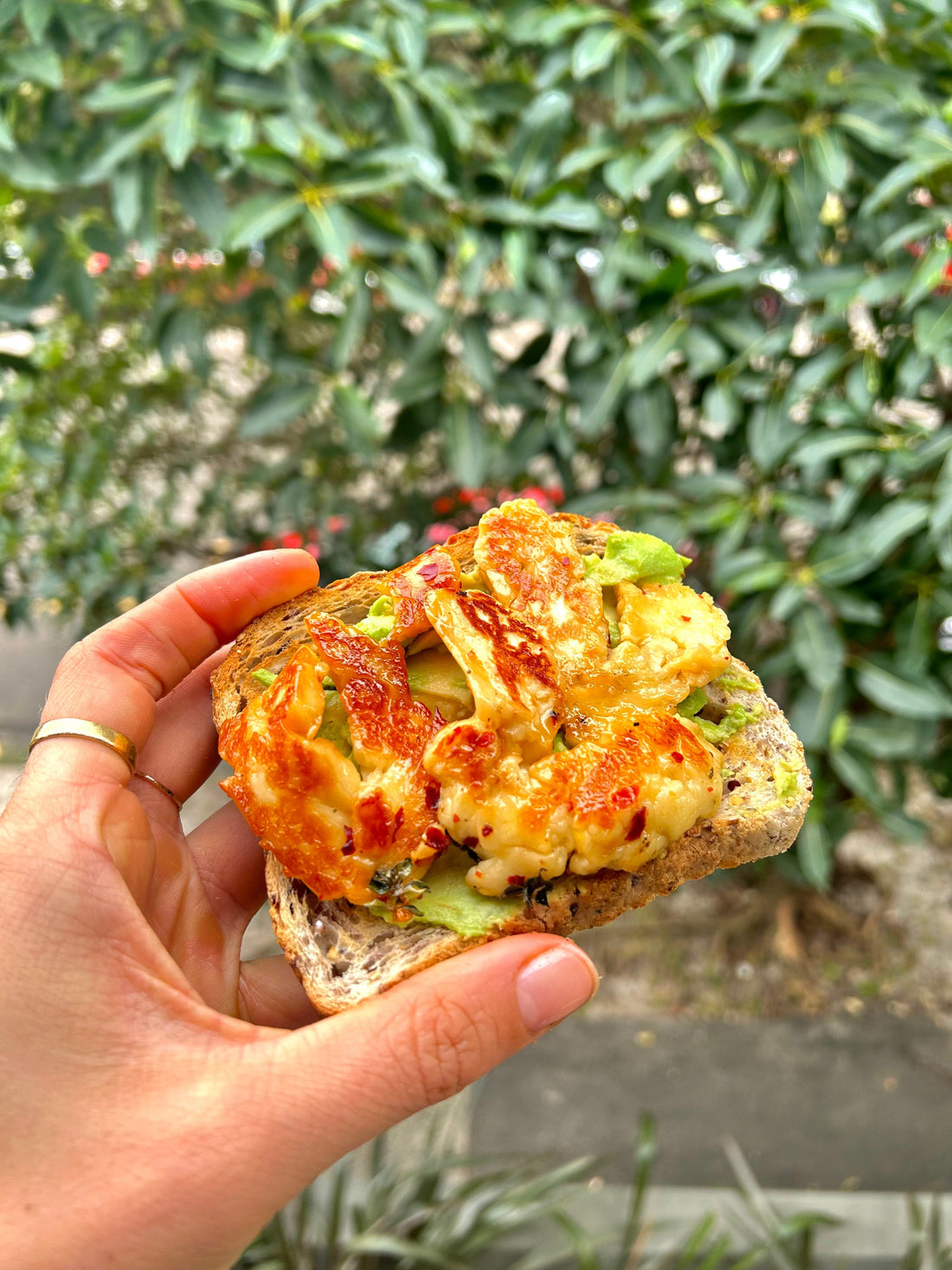 HONEY HALLOUMI