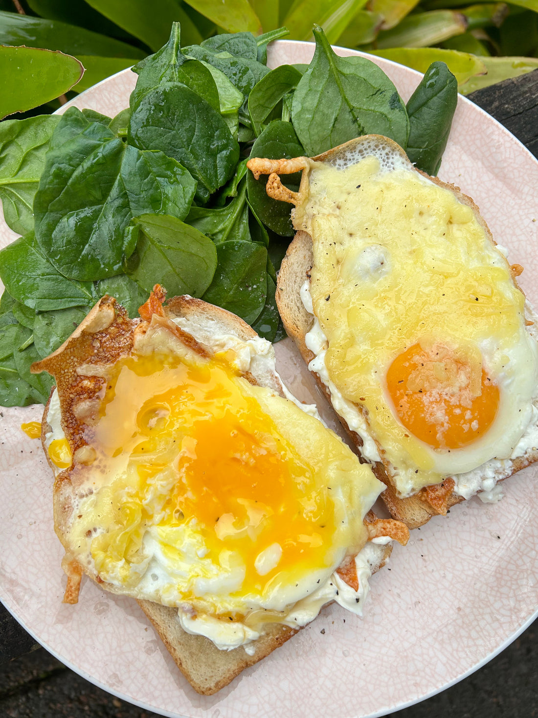 CHEESY HONEY CHILLI EGGS