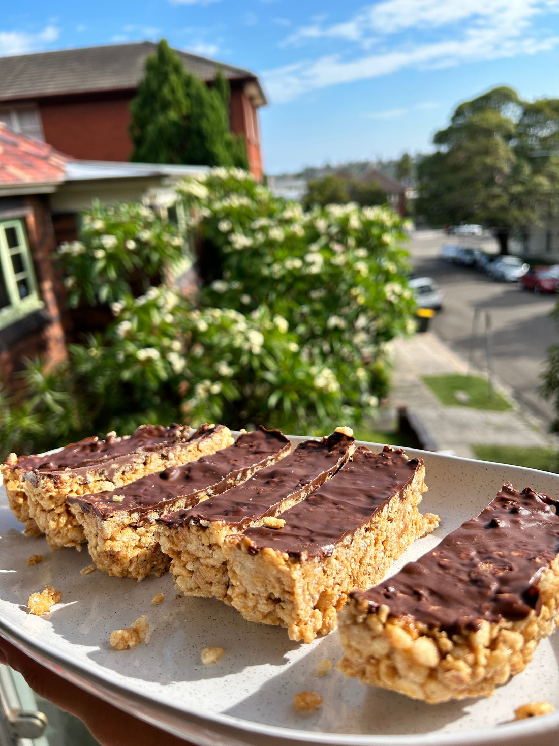 PROTEIN LCM BAR